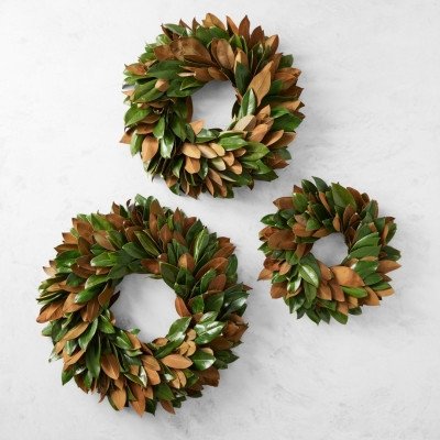 Image of product Magnolia Live Wreath by Williams Sonoma