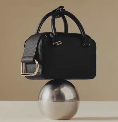 Image of product Cool Box Bag by Delvaux