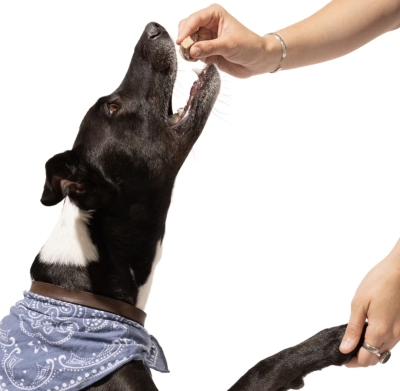 Image of product Dog Treats by Maev