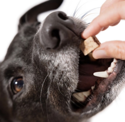 Image of product Dog Treats by Maev