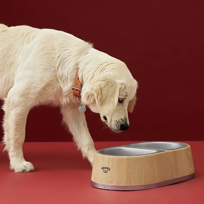 Image of product Dog Bowl by Hermès