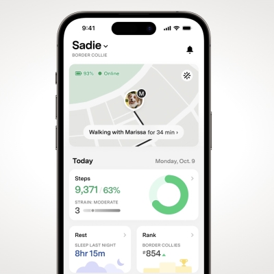 Image of product Series 3 Smart Dog Collar by Fi