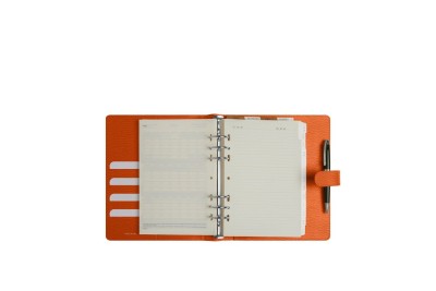 Image of product Leather Organizer by Lucrin