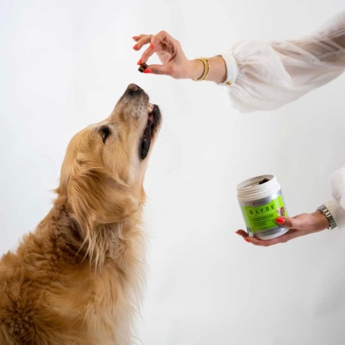 Image of product Mobility Chews Hip & Joint Supplement for Dogs Sale price by Glyde