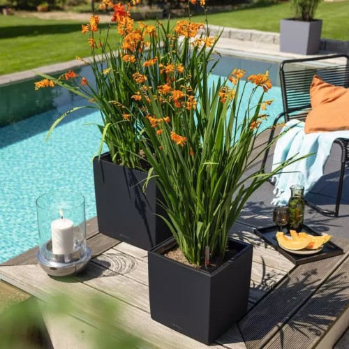 Image of product Cube Planter by Lechuza