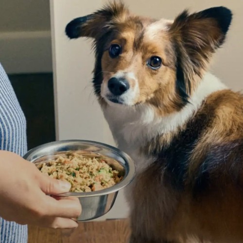 Image of answer posted by Rene J