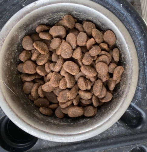 Image of product Original Dog Food by Orijen