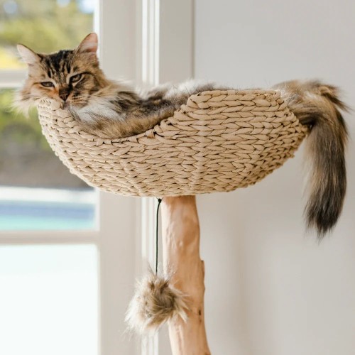 Image of product Cento Cat Tree by Mau