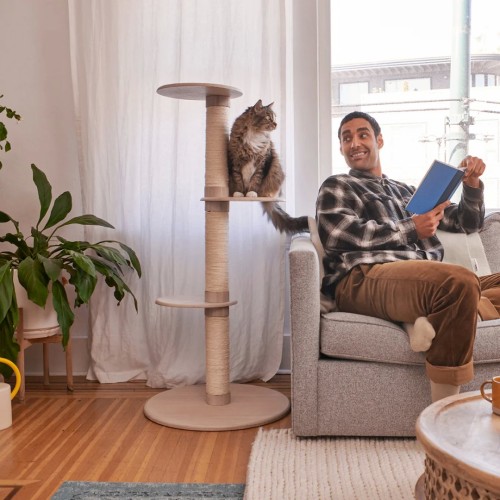 Image of product Frond Cat Tree by Tuft + Paw