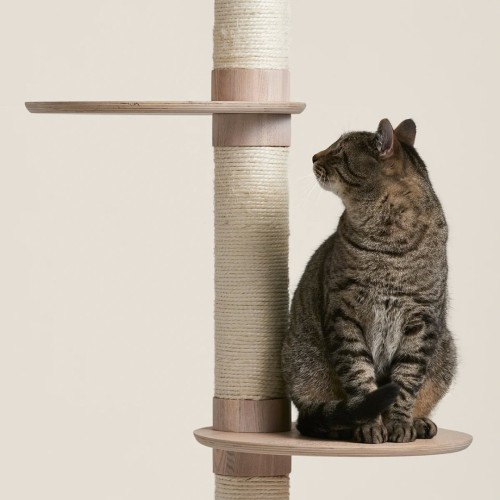 Image of product Frond Cat Tree by Tuft + Paw