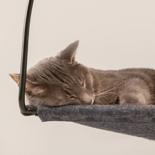 Image of product Cloud Nine Window Hammock by Tuft + Paw