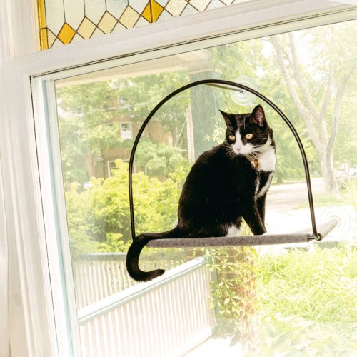 Image of product Cloud Nine Window Hammock by Tuft + Paw