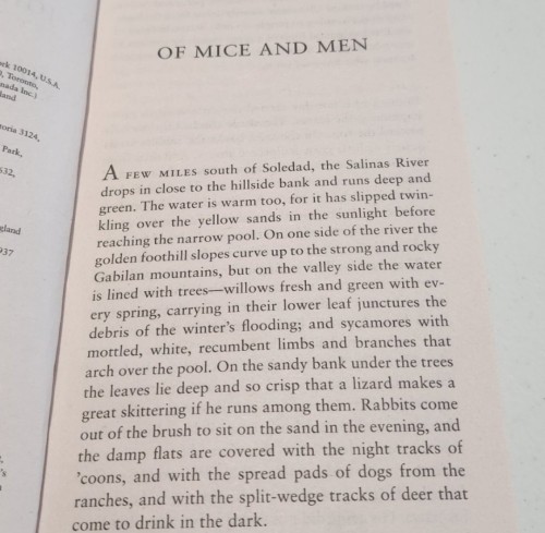 Image of product Of Mice and Men by John Steinbeck