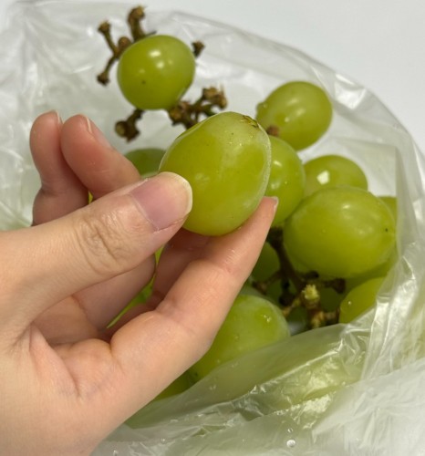 Image of answer posted by Jessica Joy