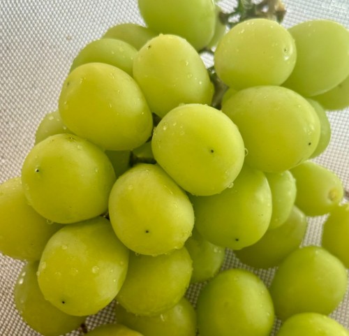 Image of answer posted by Jessica Joy