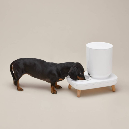 Image of product The Table Plus Automatic Feeder by Duit