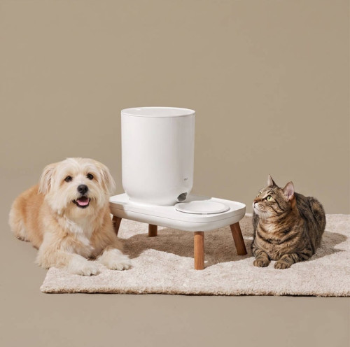 Image of product The Table Plus Automatic Feeder by Duit