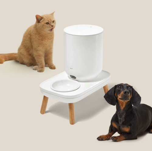 Image of product The Table Plus Automatic Feeder by Duit
