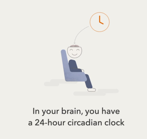 Image of product Timeshifter Jet Lag App by Timeshifter