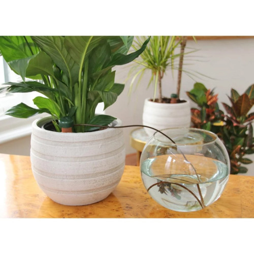 Image of product Classic Self Watering Stakes by Blumat