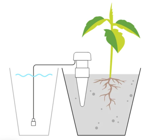 Image of product Classic Self Watering Stakes by Blumat