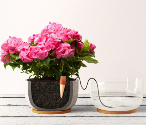 Image of product Classic Self Watering Stakes by Blumat