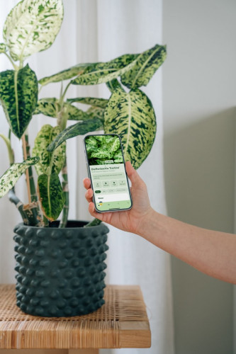 Image of product Planta: Plant & Garden Care by Planta AB
