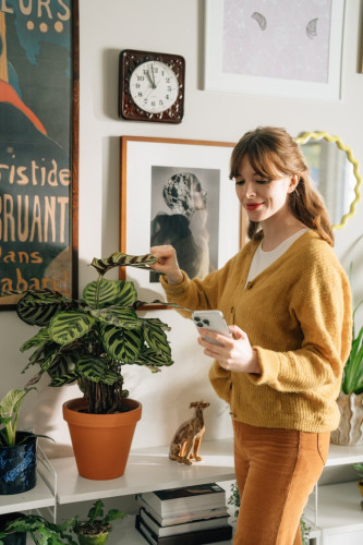 Image of product Planta: Plant & Garden Care by Planta AB